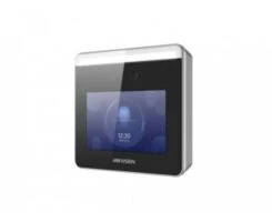 Hikvision DS-K1T331W