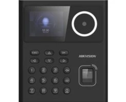 Hikvision DS-K1T320MFWX