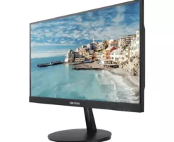Hikvision DS-D5022FN-C