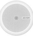 Hikvision DS-2FP2061 səs sistemi avadanlığı