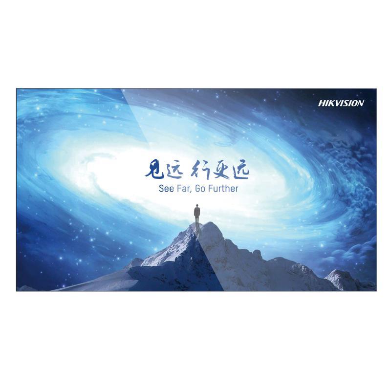 Hikvision DS-D2065LU-Y monitor / displey