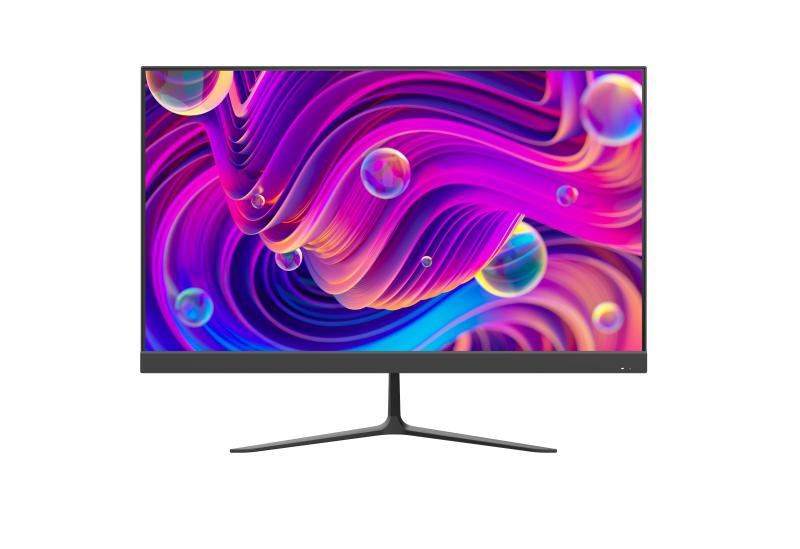 Hikvision DS-D5024F2-BV2S monitor / displey