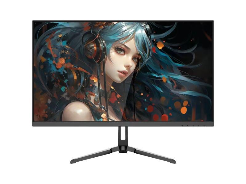 Hikvision DS-D5025F2-2V6 monitor / displey