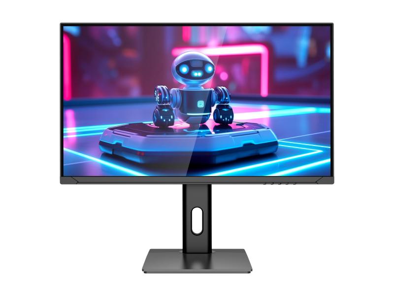 Hikvision DS-D5025F2-4V6 monitor / displey