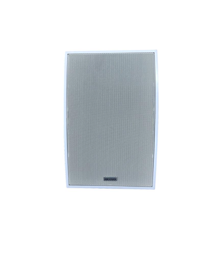 Hikvision DS-QAE0120G1E-V analoq Cabinet səsucaldan 20W