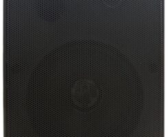 Hikvision DS-QAE0130G1 Analog Cabinet Speaker 30W