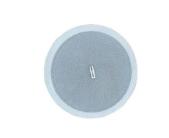 Hikvision DS-QAE0210G1-V analoq Ceiling səsucaldan 10W